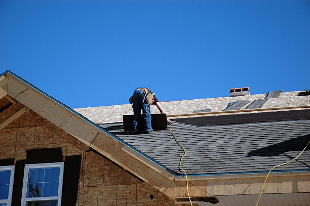 Best Roof Gutter Cleaning  in Pearisburg, VA